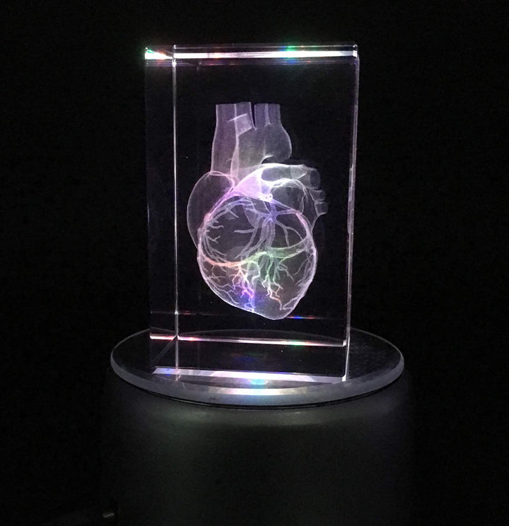 3D Human Heart Anatomical Model Paperweight(Laser Etched) in Crystal Glass Cube Science Anatomy Gift (No Included LED Base)(3.1x2x2 inch)