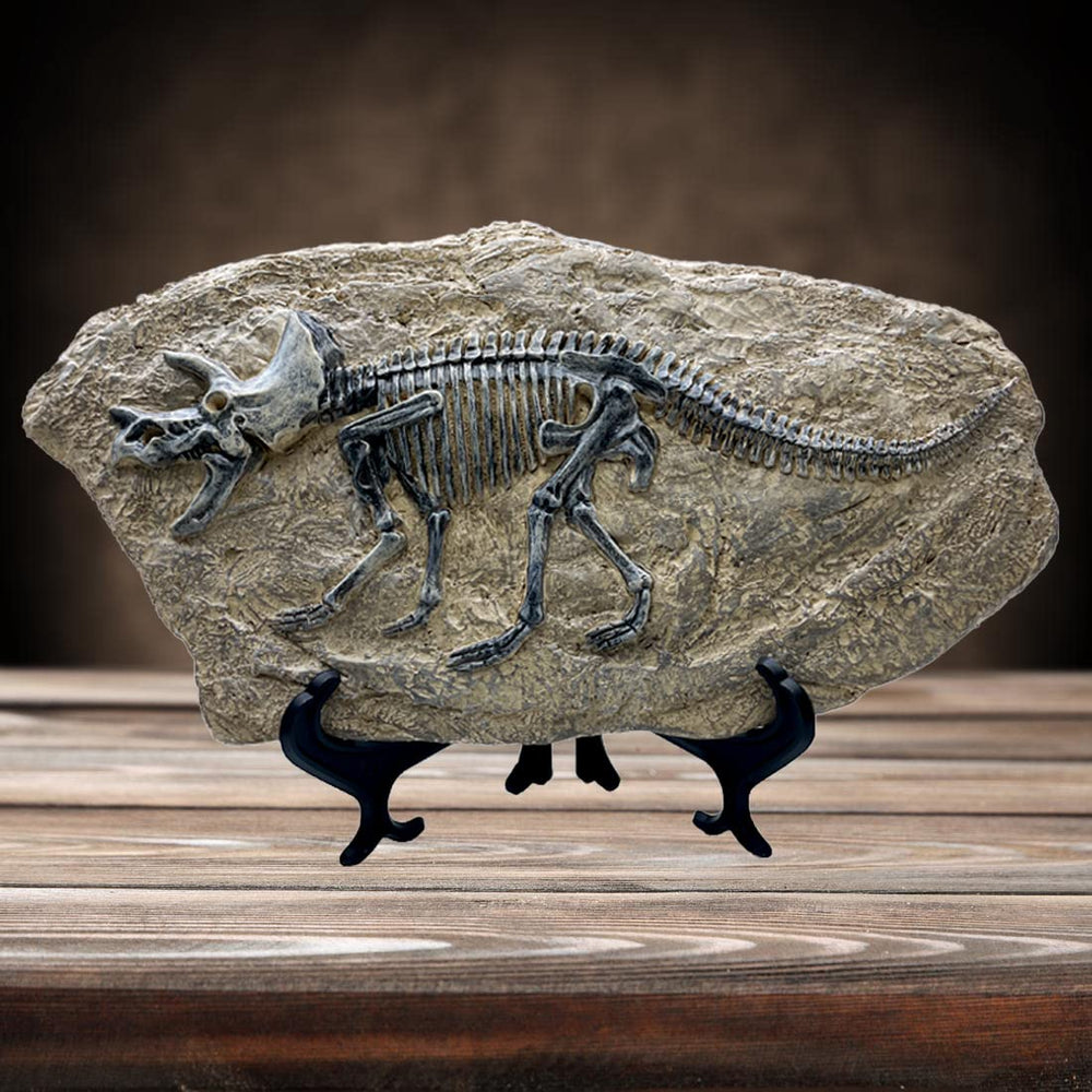 Resin Triceratops Dinosaur Fossil Statue Model Simulated Skeleton Home Office Display Decorative Craft Box Decoration (Style 6)