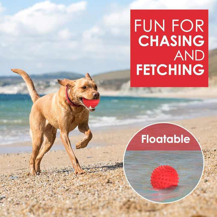 4 Squeaky Dog Balls for Aggressive Chewers, Durable Interactive Dog Chew Toys for Teething, Floatable Indestructible Rubber Spiky Ball, Tough Pet Toys for Small, Medium & Large Breeds