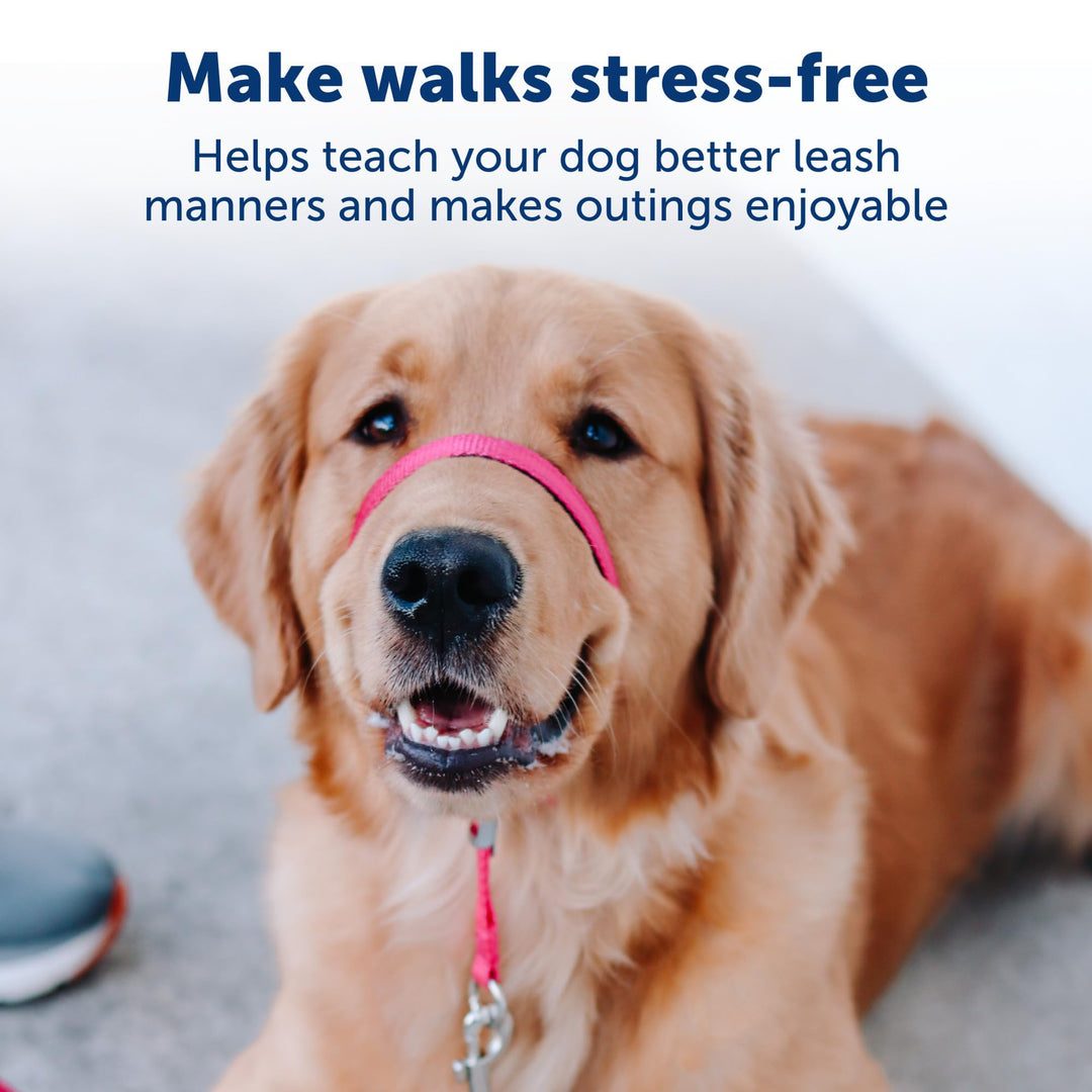 Gentle Leader No-Pull Dog Headcollar - The Ultimate Solution to Pulling - Redirects Your Dog's Pulling for Easier Walks - Helps You Regain Control - X-Large, Black