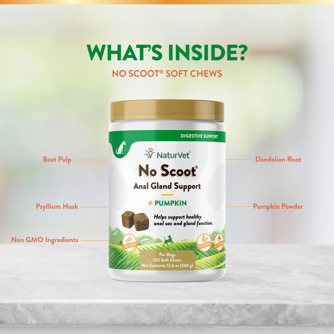 - No Scoot for Dogs - 120 Soft Chews - Plus Pumpkin - Supports Healthy Anal Gland & Bowel Function - Enhanced with Beet Pulp & Psyllium Husk