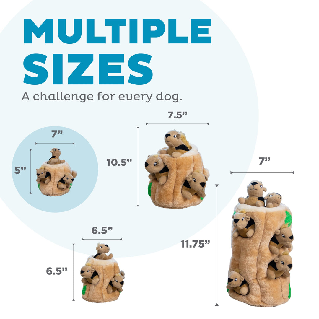 Hide A Squirrel Plush Dog Toy Puzzle, Small