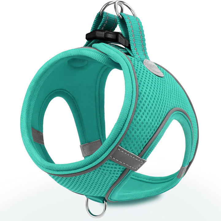 Small Dog Harness, Breathable Mesh Step-in Vest Harness, Reflective Soft Padded Harnesses for Medium Dogs, Teal, XL