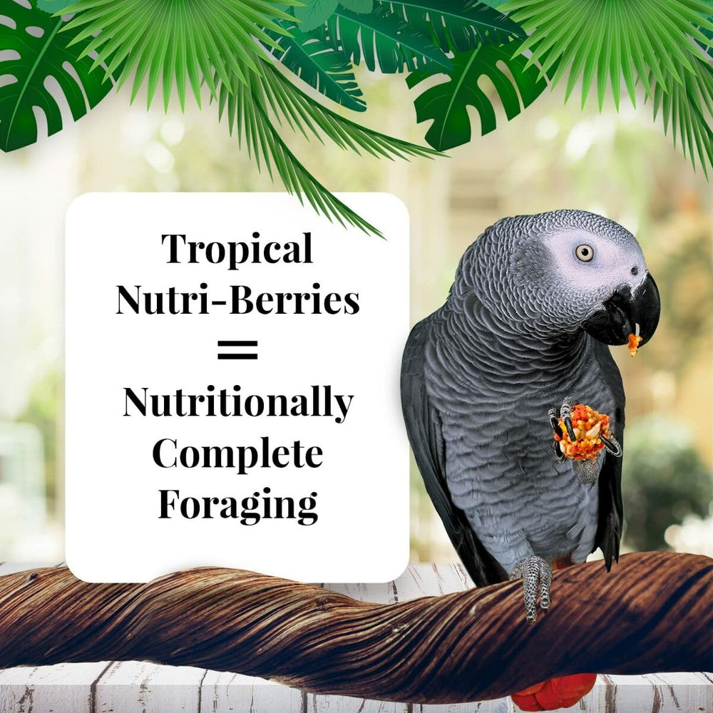 Tropical Fruit Nutri-Berries Pet Bird Food, Made with Non-GMO and Human-Grade Ingredients, for Parrots, 3 lb