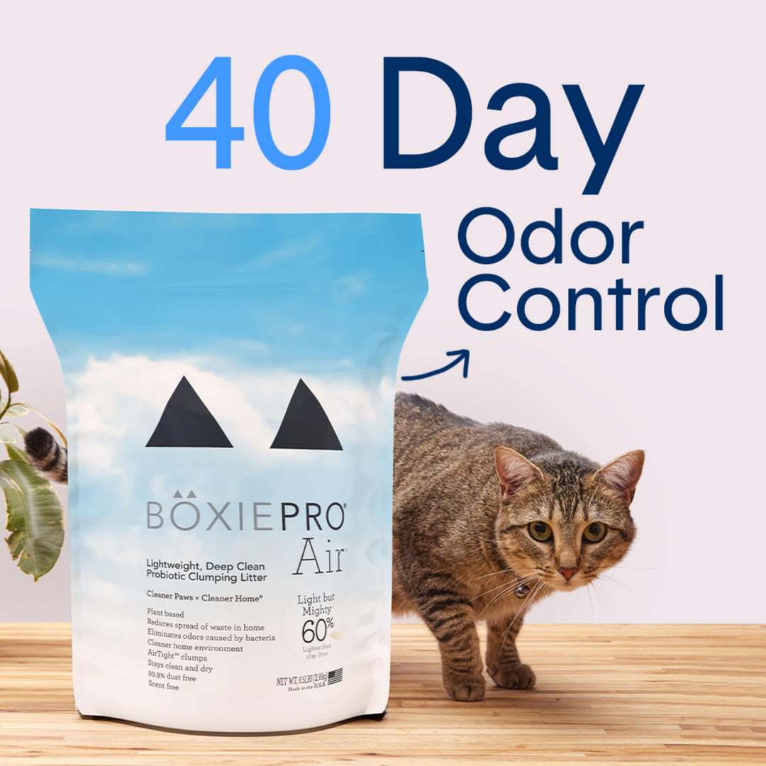 Boxie® Probiotic Cat Litter, Lightweight 40-Day Odor Control, Clumping, 11.5lb