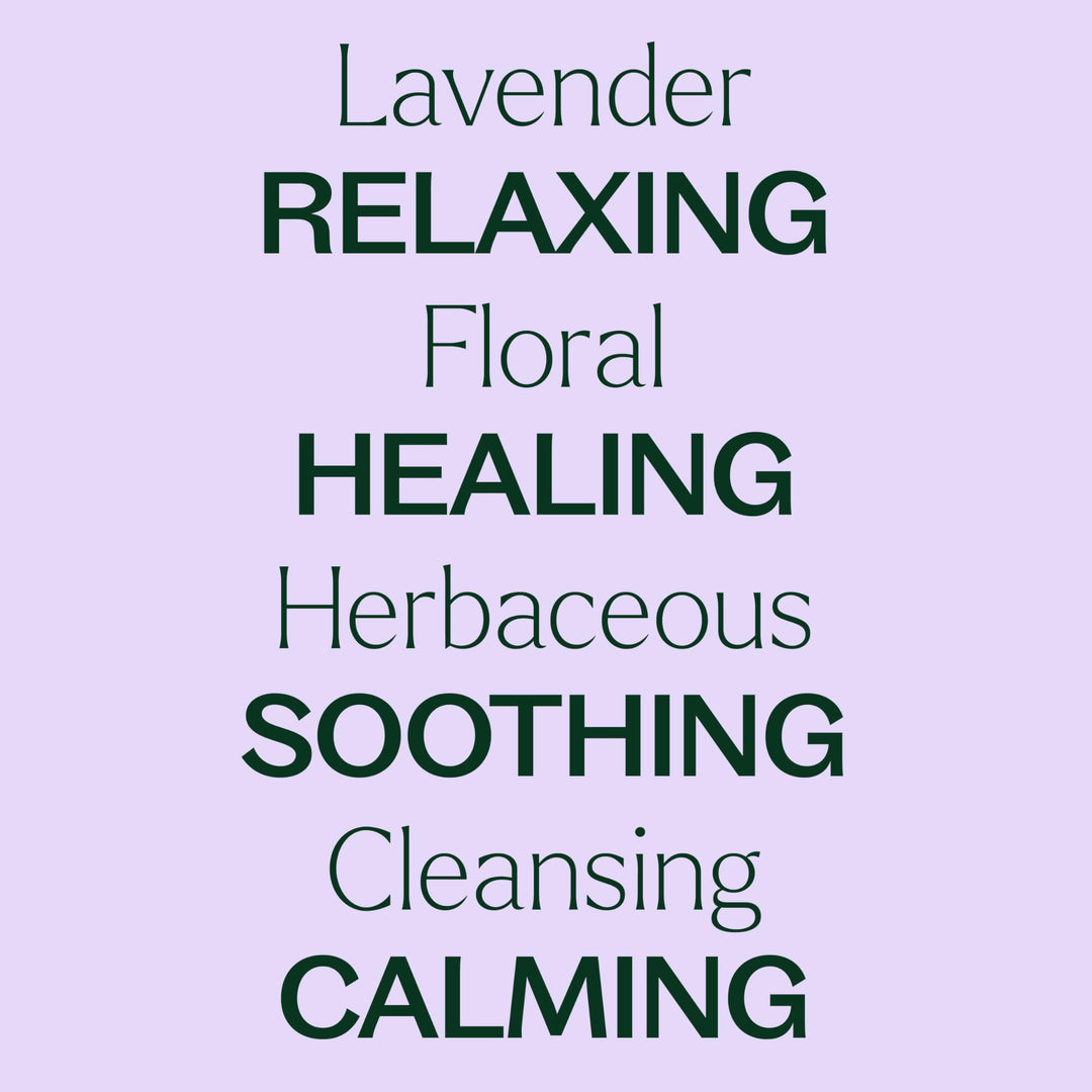 Lavender Essential Oil 100% Pure, Undiluted, Natural Aromatherapy, Therapeutic Grade 100 mL (3.3 oz)
