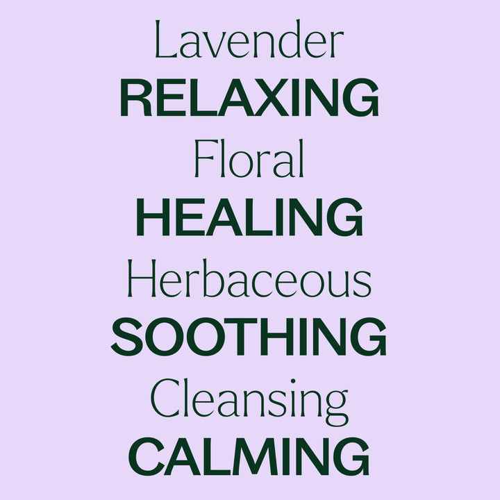 Lavender Essential Oil 100% Pure, Undiluted, Natural Aromatherapy, Therapeutic Grade 100 mL (3.3 oz)