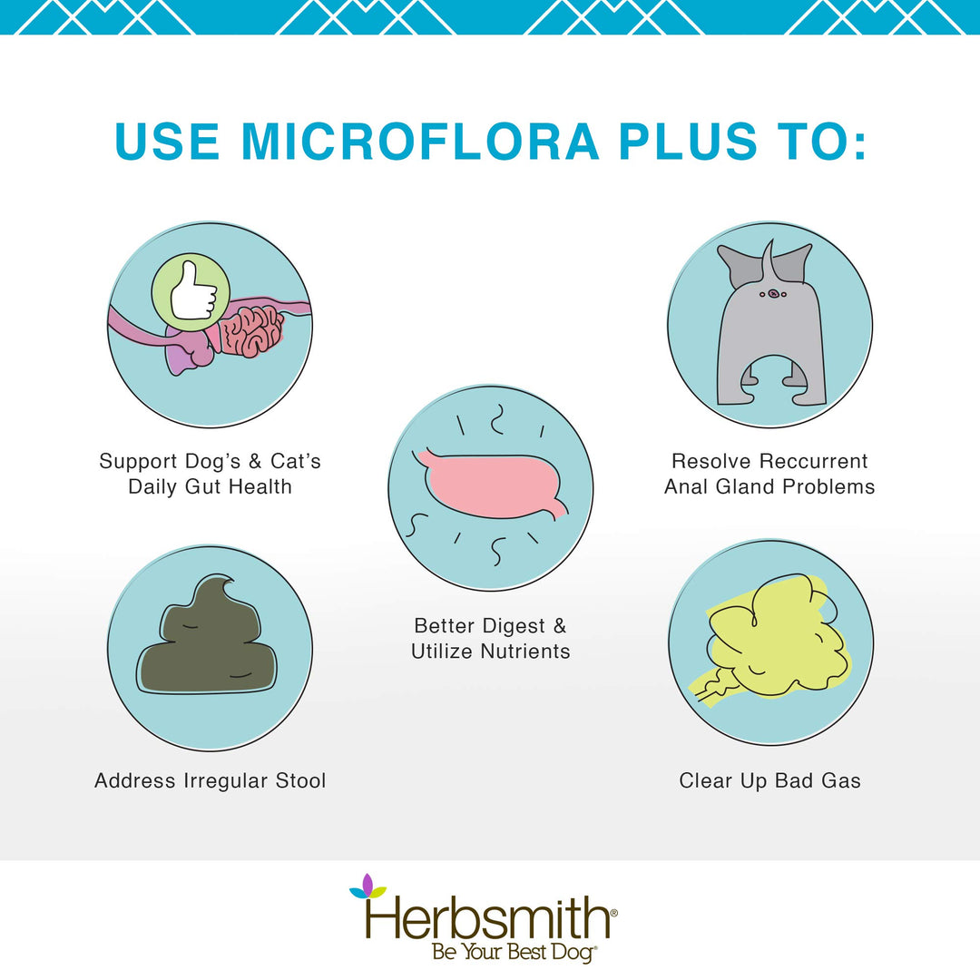 Microflora Plus – Dog Digestion Aid –Probiotics and Digestive Enzymes for Dogs – Prebiotic for Dogs – 120 Capsules
