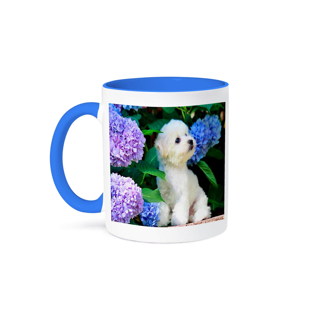 mug_80886_6 Adorable Bichon Frise Puppy Among Hydrangeas Two Tone Blue Mug, 11 oz, Multicolor