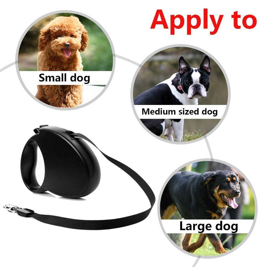 Auto Retractable Dog Leash Explore Training Lead - 10 Ft/16.6Ft Pet Dog Walking Running Rope