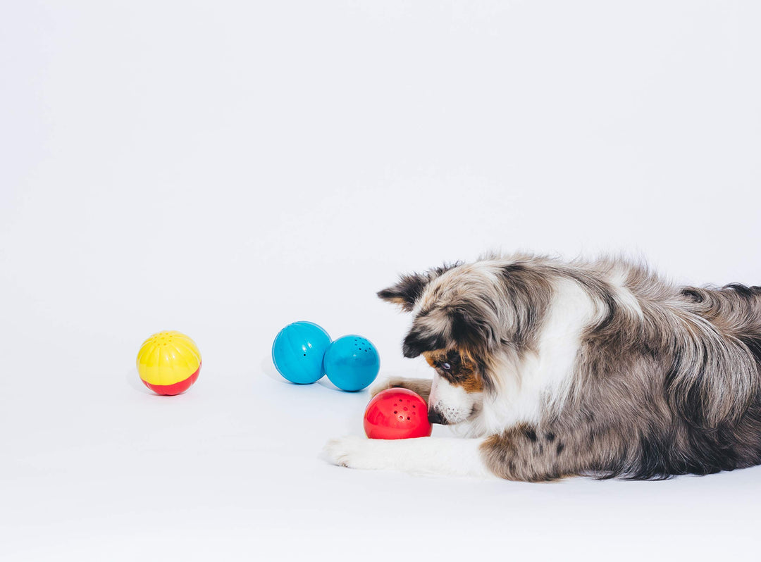 Animal Sounds Babble Ball - Chew Dog Toy - Small