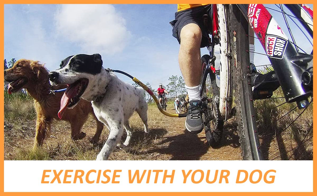 Best Dog Bike Leash - (Orange)