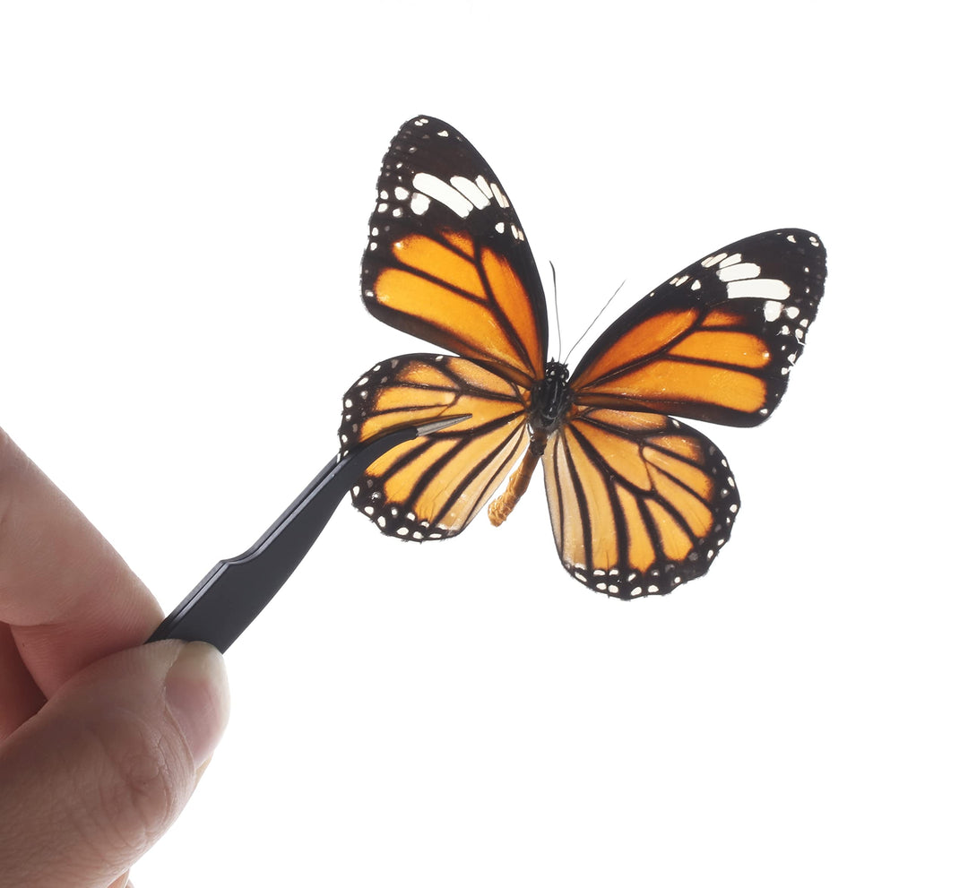 Making Insect Specimen Tools Kit, with Insect Pins,Insect Pinning Board, Wings Pressing Paper,Tweezers, Scissors, Insect Display Case, Insect Collection for Bug Hobbyist/Biology Projects