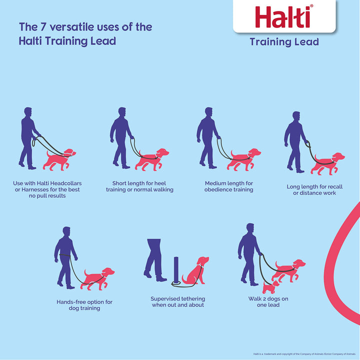 HALTI Training Leash - Multifunctional Double-Ended Dog Leash, Ideal for Anti-Pulling Dog Training. Easy to Use, Lightweight & Durable. Suitable for Medium to Large Dogs & Puppies (Size Large, Black)