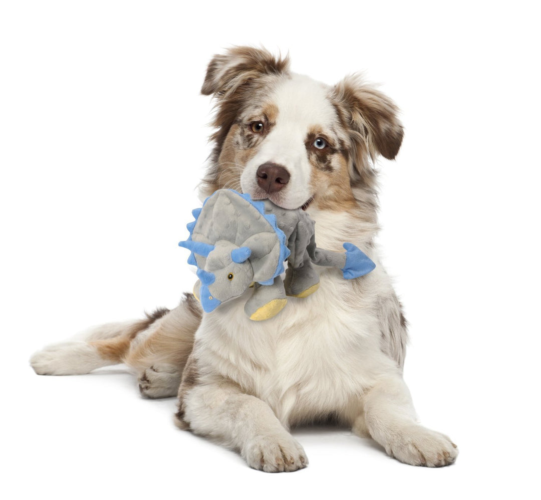 Dinos Frills Squeaky Plush Dog Toy, Chew Guard Technology - Gray, Large