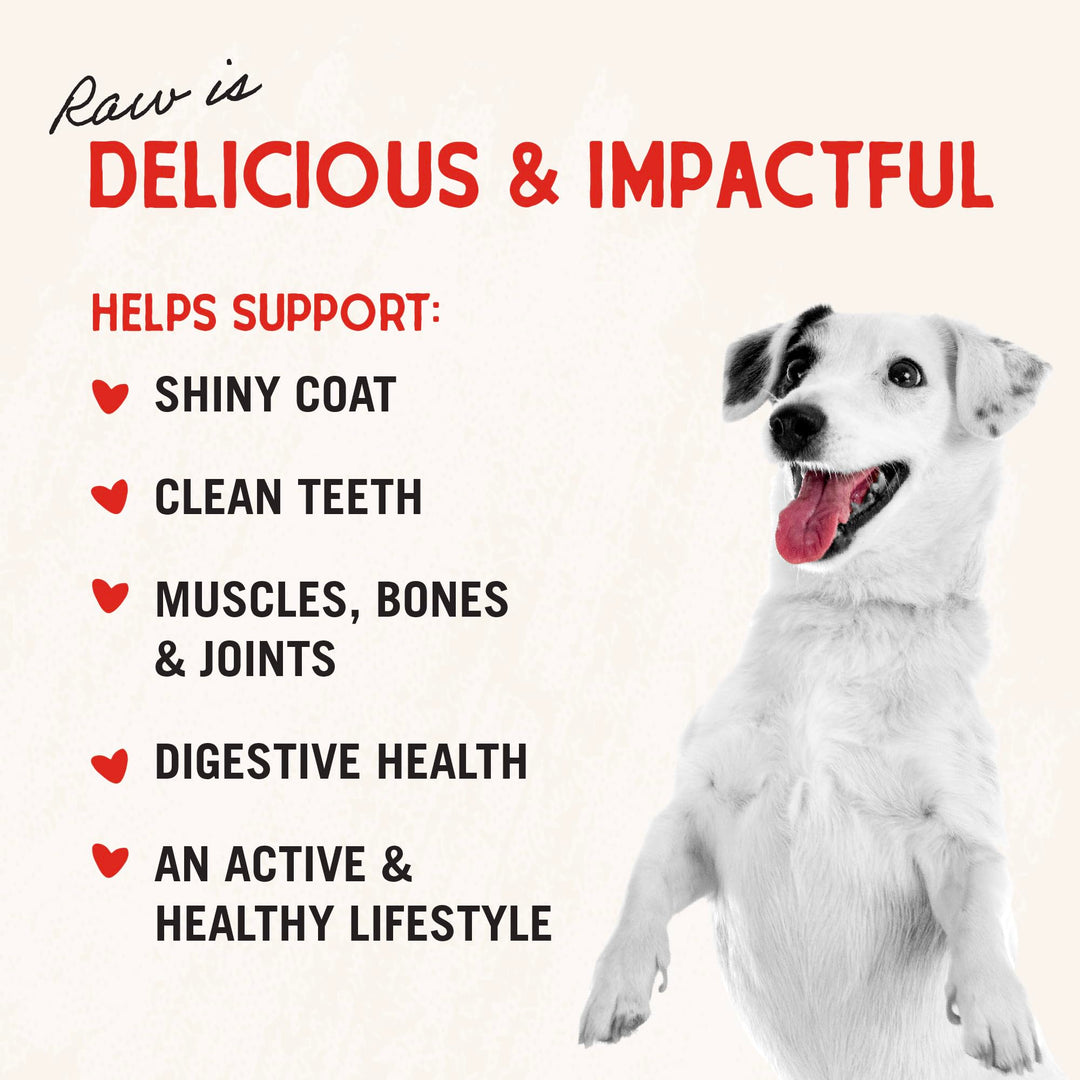 Stella & Chewy's Freeze Dried Raw Dinner Patties – Grain Free Dog Food, Protein Rich Stella’s Super Beef Recipe – 25 oz Bag