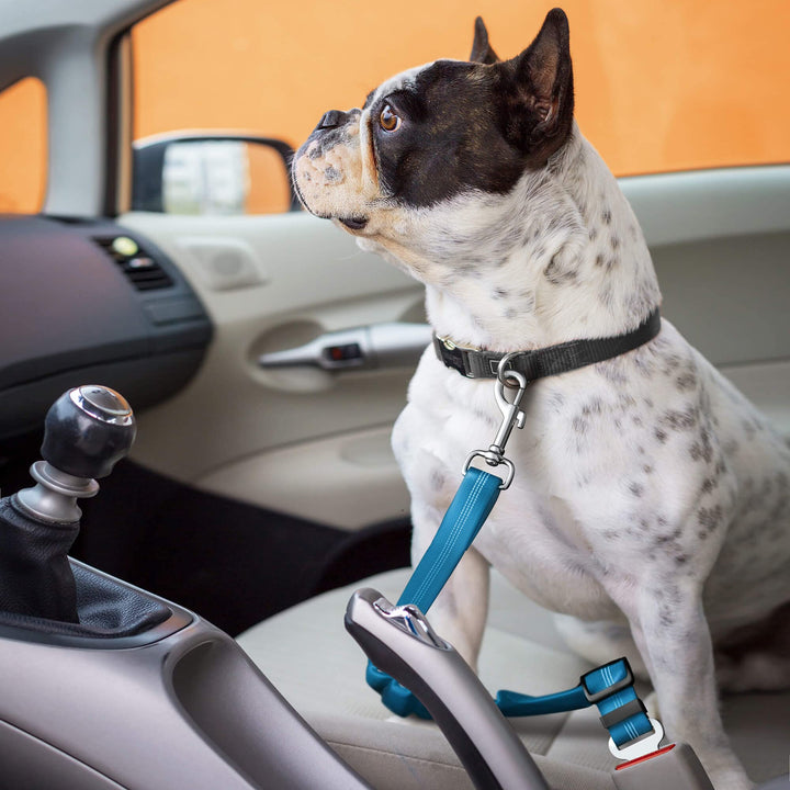 Dog Seat Belt for Car - Adjustable Dog Car Safety Harness, Elastic Anti shock Dog Seat Belt.