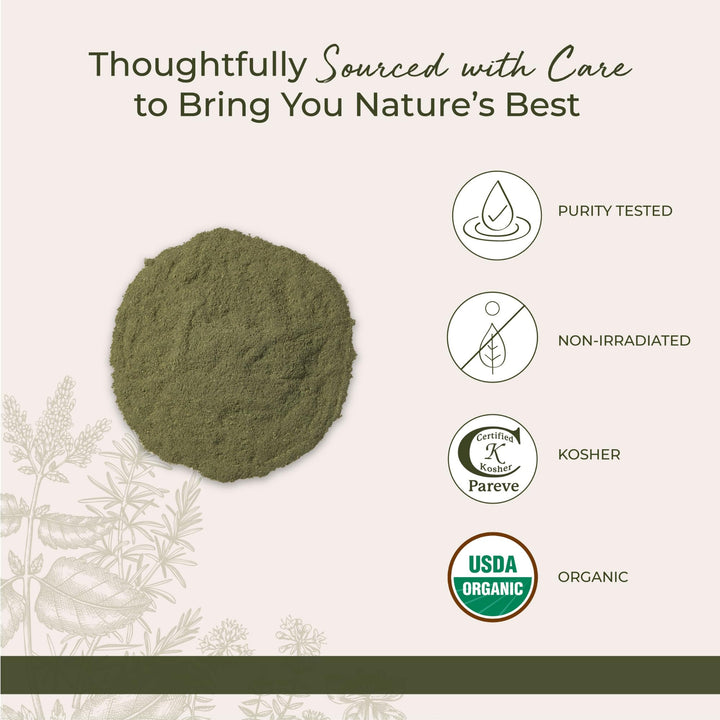 Organic GreenPower Blend - Healthy Greens Superfood Powder, Super Green Drink Mix, Natural Energy Support for Women & Men, Packed with Fruits & Vegetables, Non-GMO - Bulk 1 lb Bag