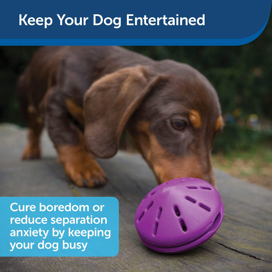 Busy Buddy Twist 'n Treat Dispensing Dog Toy - Large