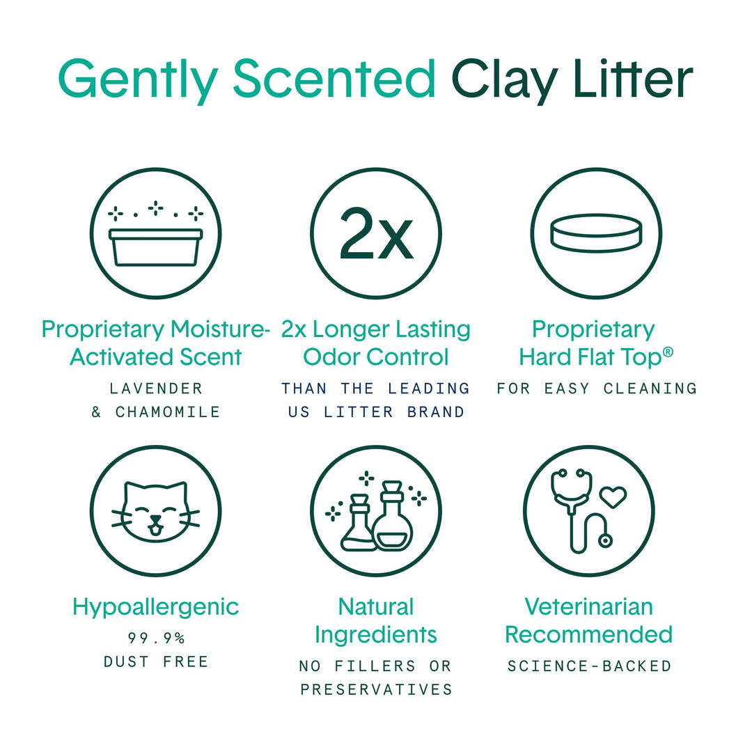 Boxie Gently Scented Cat Litter, 30-Day Odor Control, Clumping Clay, 16lb