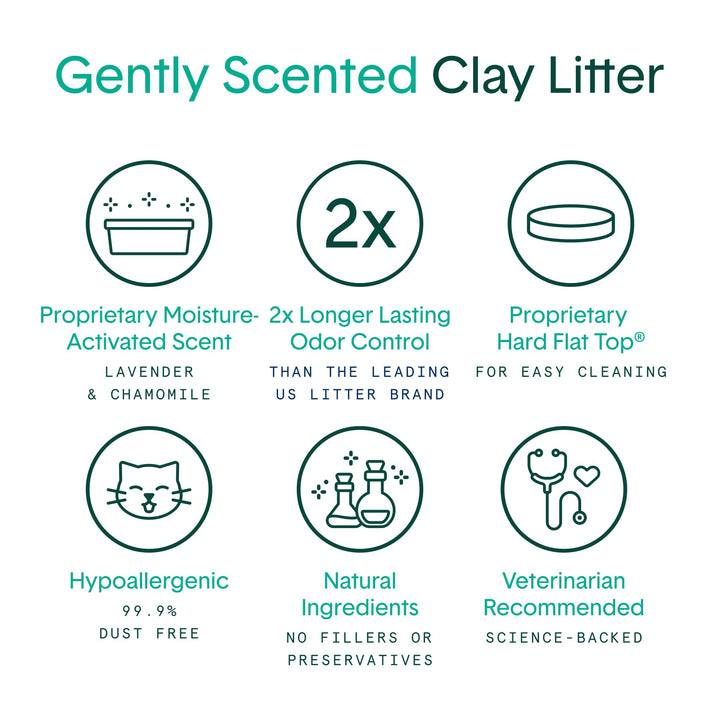 Boxie Gently Scented Cat Litter, 30-Day Odor Control, Clumping Clay, 16lb