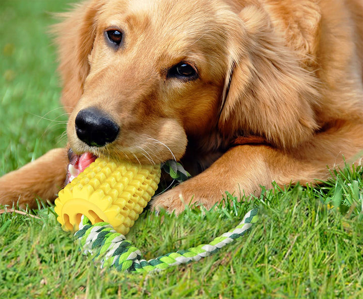 Dog Chew Toys, Puppy Toothbrush Clean Teeth Interactive Corn Toys, Dog Toys Aggressive Chewers Meduium Large Breed