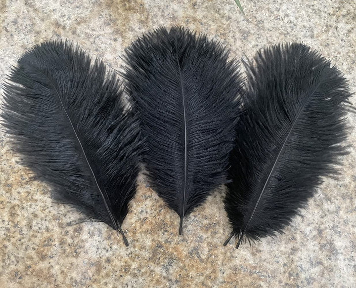 Ostrich Feathers 8-10 inch / 20-25 cm Pack of 10 (Wine red)