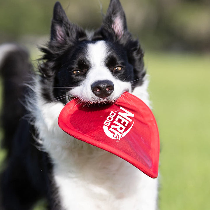 Nylon Flyer Dog Toy, Flying Disc, Lightweight, Durable and Water Resistant, Great for Beach and Pool, 9 inch diameter, for Medium/Large Breeds, Single Unit, Red