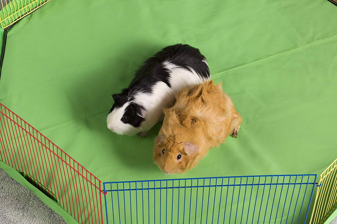 Prevue Pet Products Multi-Color Small Pet Playpen 40090,13x35.87x8.67 inch