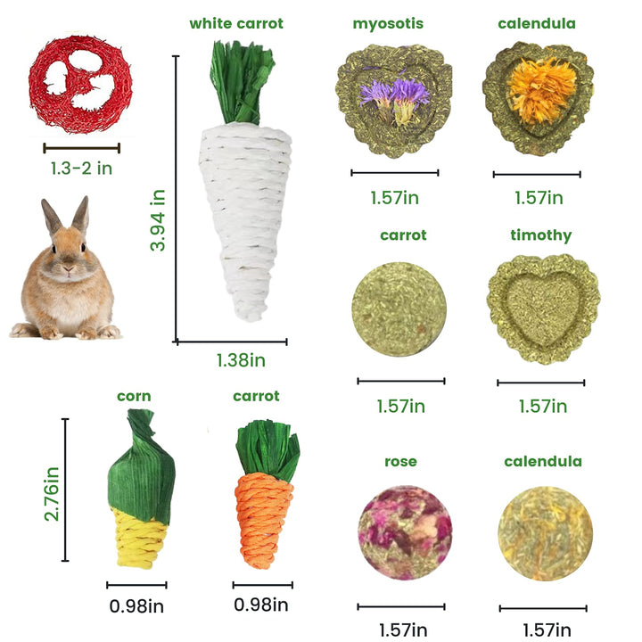 Rabbit Chew Toys 12PCS, Guinea Pig Toys, Bunny Toys for Teeth, Chew Toys and Treats for Rabbit Guinea Pig Hamster Chinchilla, Small Animal Teeth Care