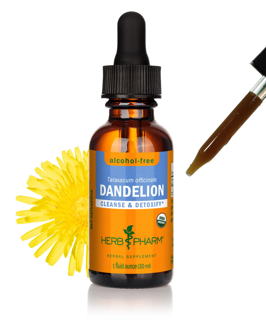 Certified Organic Dandelion Liquid Extract for Cleansing and Detoxification, Alcohol-Free Glycerite, 1 Fl Oz