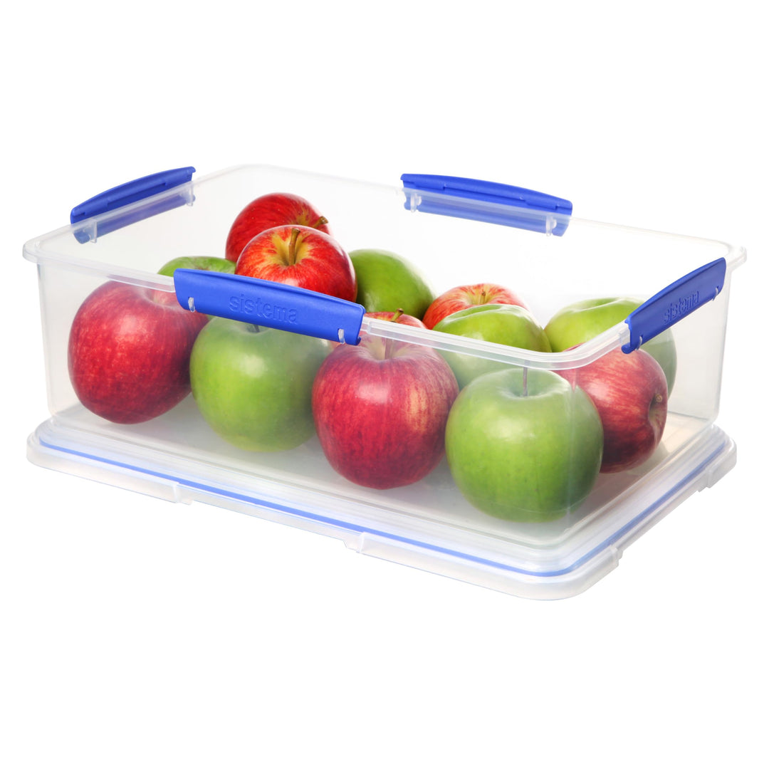 Large Food Storage Container with Lid for Lunch