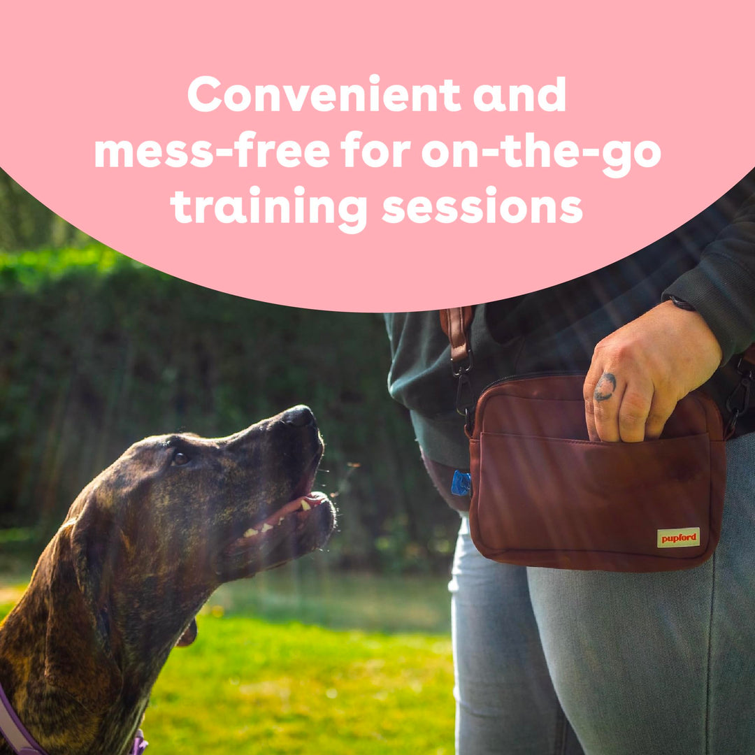 Freeze Dried Training Treats for Dogs & Puppies, 475+ Two Ingredient Bites (Salmon, 4 oz)