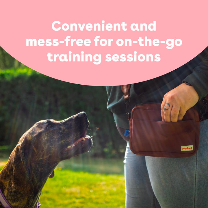 Freeze Dried Training Treats for Dogs & Puppies, 475+ Two Ingredient Bites (Salmon, 4 oz)