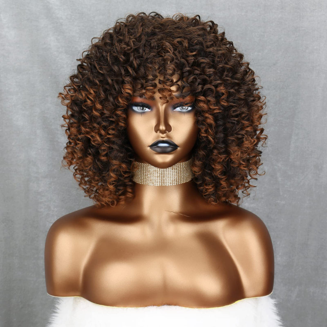 Omber Brown Kinky Curly Wig for Black Women, Short Curly Afro Wigs with Bangs, Synthetic African American Full Hair Wig 14 inch