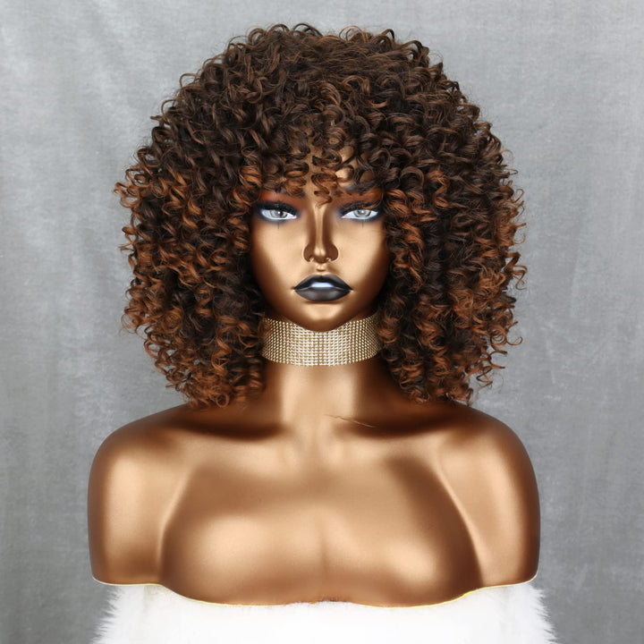 Omber Brown Kinky Curly Wig for Black Women, Short Curly Afro Wigs with Bangs, Synthetic African American Full Hair Wig 14 inch