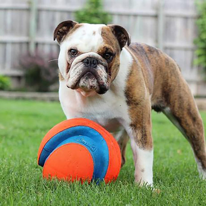 Kick Fetch Ball Dog Toy - Floats in Water - Perfect for Interactive Play - Made with Durable Rubber and Foam - For Large Dogs - Size Large - 8-inch Diameter - Pack of 1