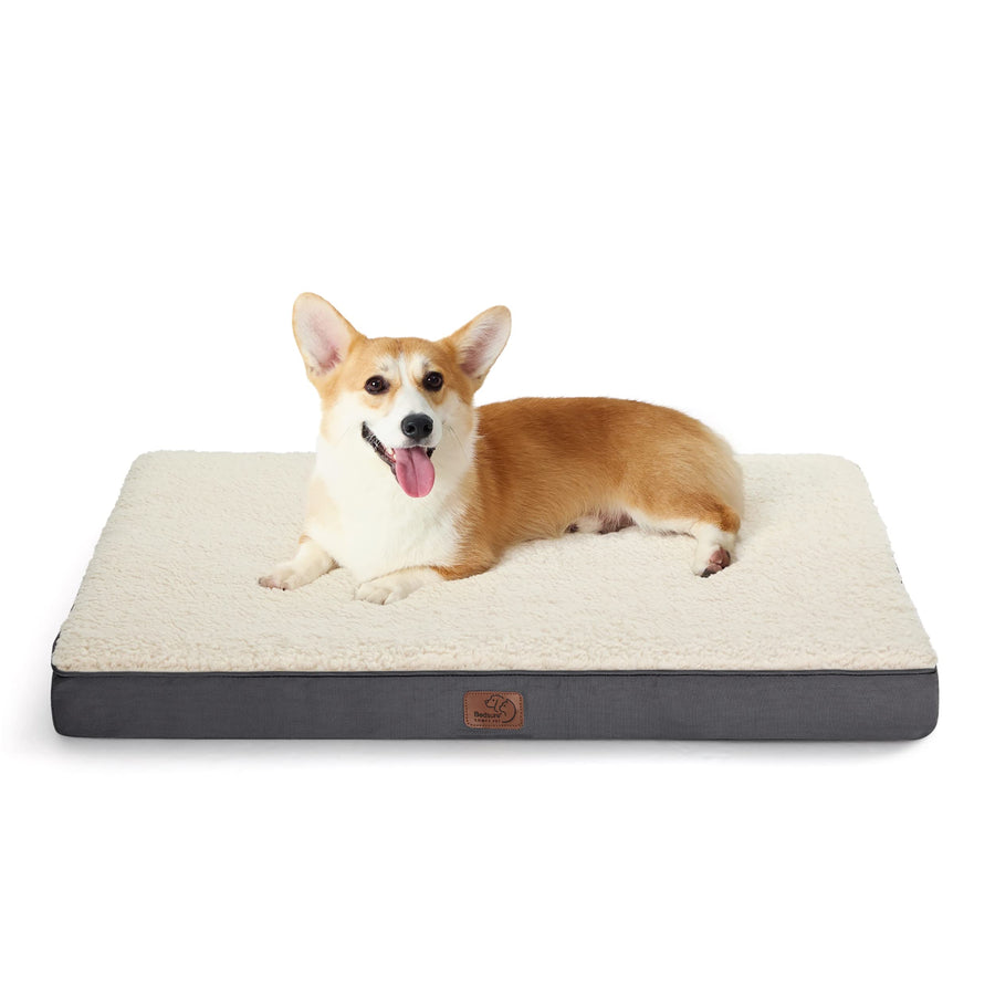 Dog Bed for Medium Dogs - Orthopedic Waterproof Puppy Beds with Removable Washable Cover, Egg Crate Foam Pet Mat, Suitable for Pet Up to 35 lbs