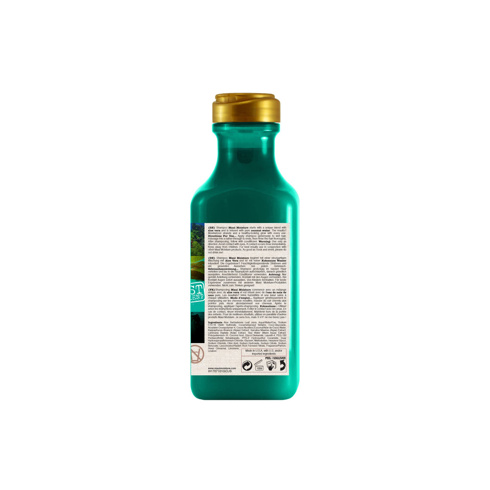 Color Protection + Sea Minerals Shampoo, Protect -Treated Tresses with Rich, Pure Algae, and Sea Kelp, Non-GMO, 13 Fl Oz
