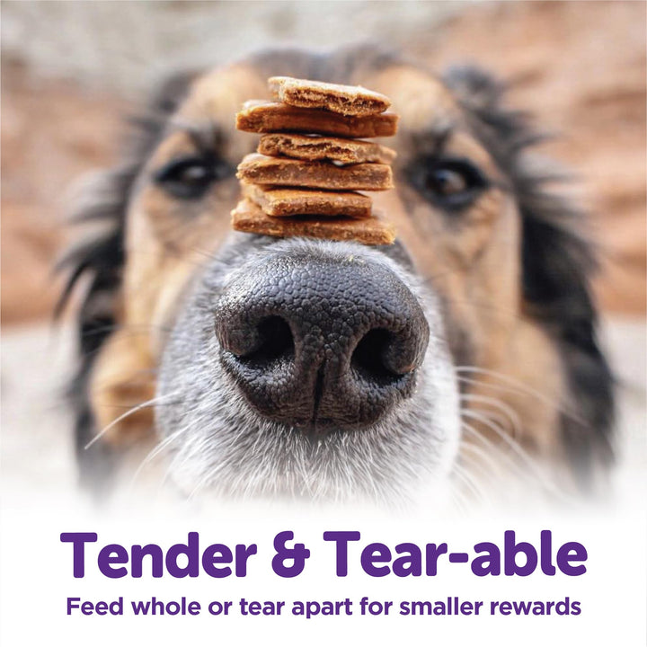 Rewarding Life Dog Treats, Natural, Training Treat, Grain Free, Soft Lamb & Salmon (6 Ounce bag)