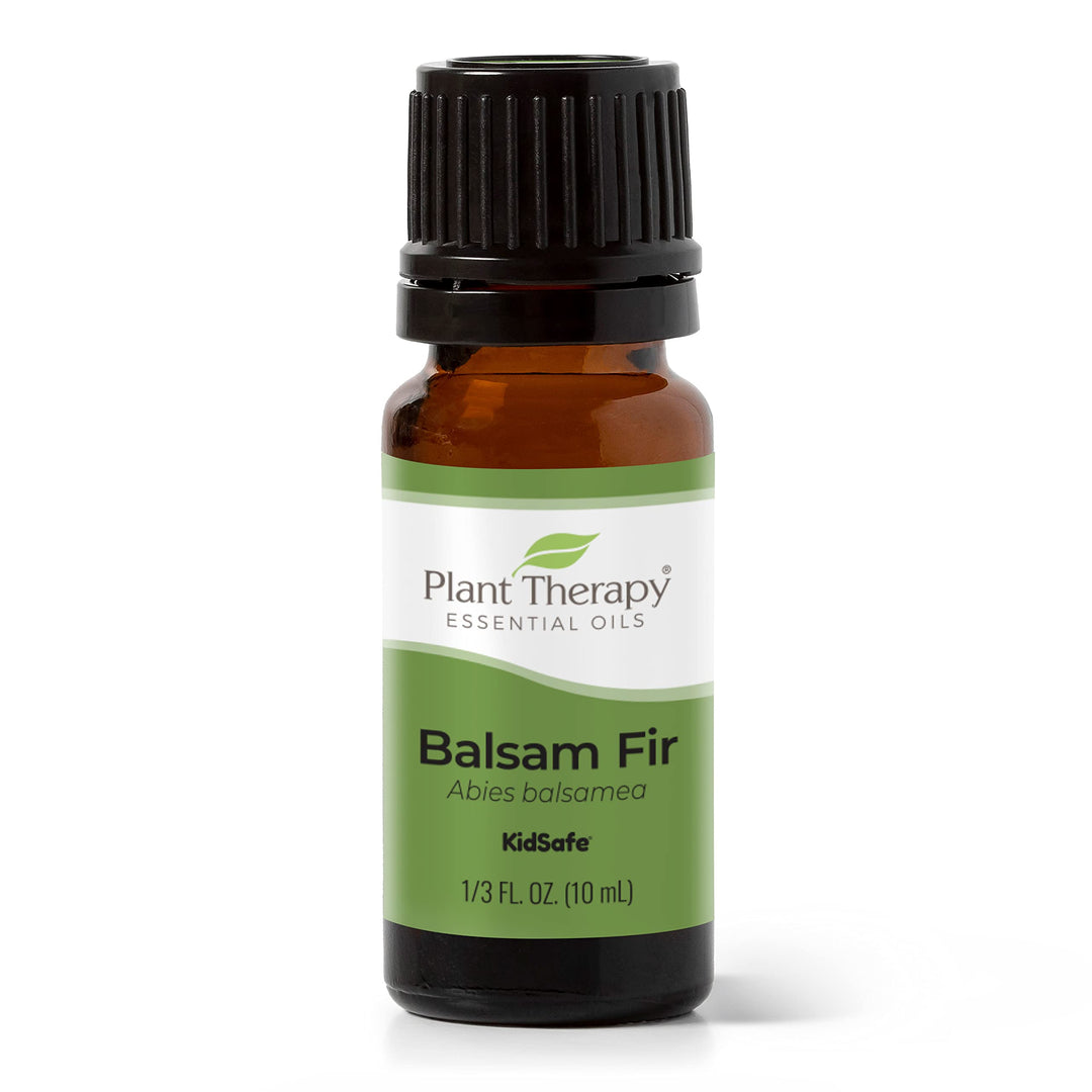 Balsam Fir Essential Oil 10 mL (1/3 oz) 100% Pure, Undiluted, Therapeutic Grade