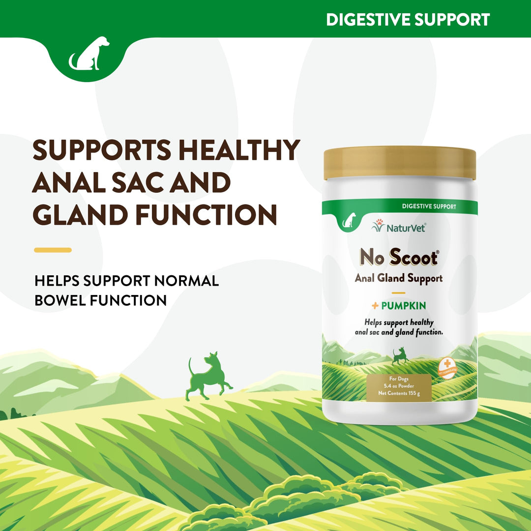 - No Scoot for Dogs - Plus Pumpkin - Supports Healthy Anal Gland & Bowel Function - Enhanced with Beet Pulp & Psyllium Husk (5.4oz Powder)