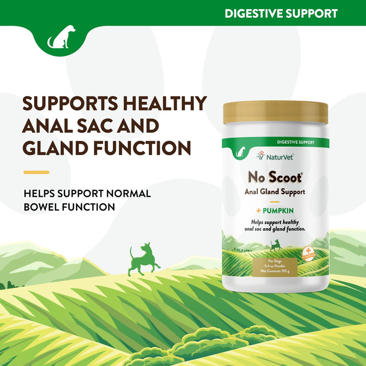 - No Scoot for Dogs - Plus Pumpkin - Supports Healthy Anal Gland & Bowel Function - Enhanced with Beet Pulp & Psyllium Husk (5.4oz Powder)