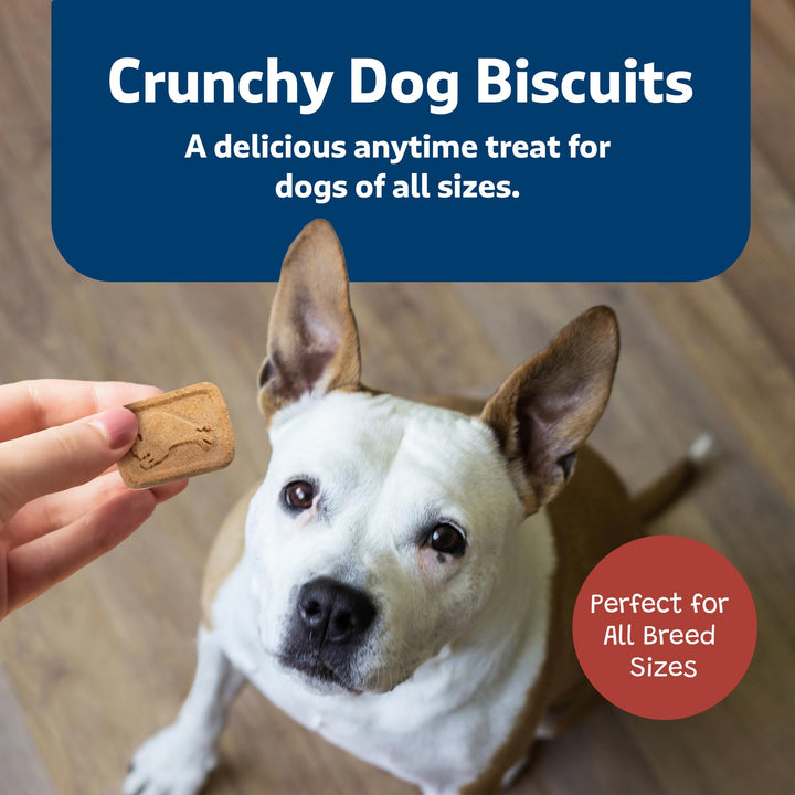 Health Bars Crunchy Dog Biscuits, Oven-Baked With Natural Ingredients, Bacon, Egg & Cheese , 16-oz. Bag