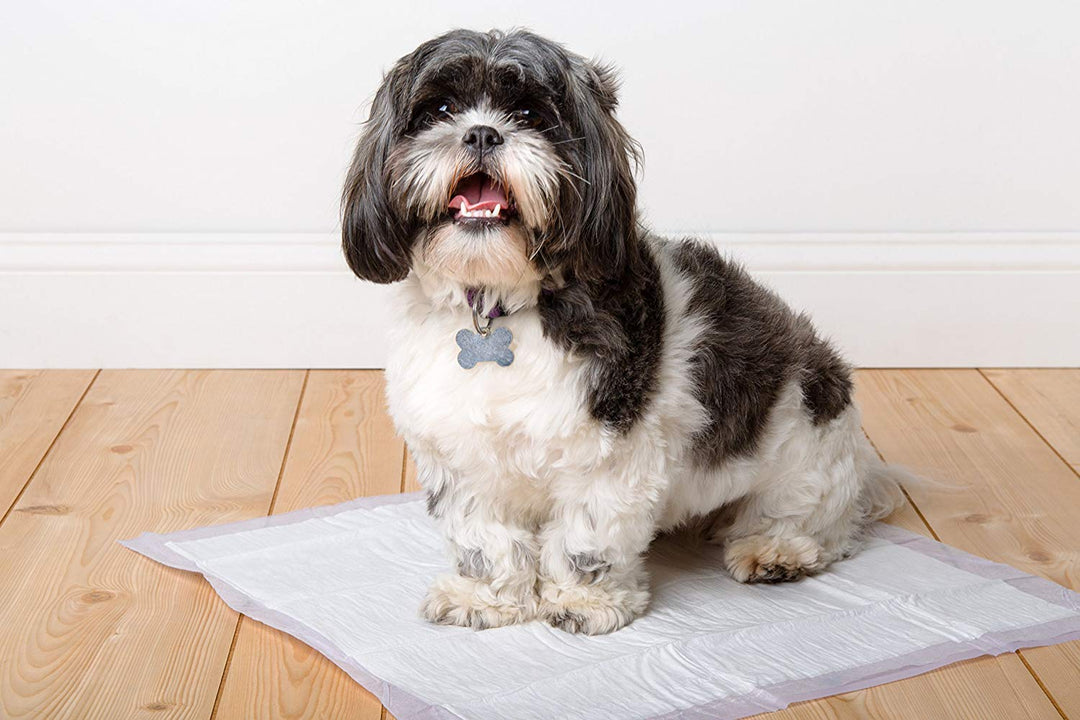 Home Protection Odor Eliminating Scented Dog Pads, Super Absorbent & Won’t Leak, Lavender Scent, Regular Size, 14 Count