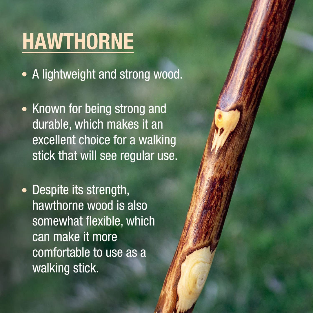 Free Form Hawthorn Wood Walking Stick Hiking Trekking Pole, 48 Inch, Made in the USA