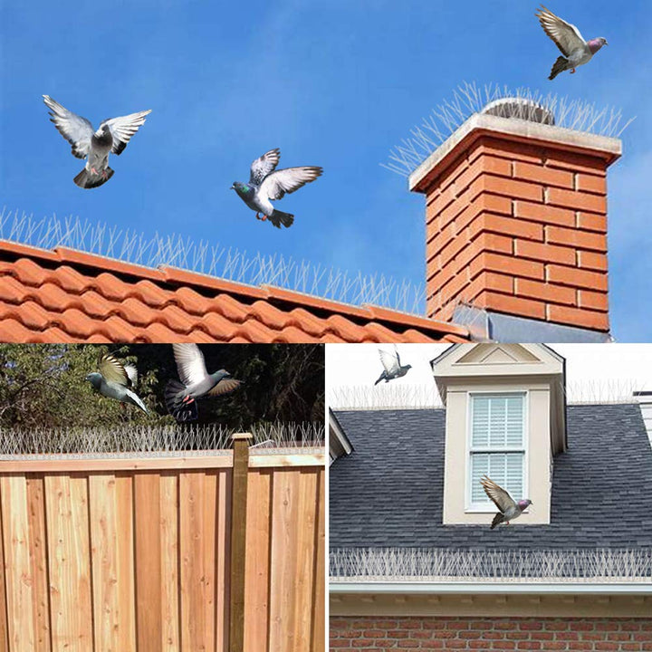 Bird Spikes Cover 11Feet Stainless Steel Pigeons Spikes Small Bird Spikes for Roof Fence Window Mailbox(11Feet)