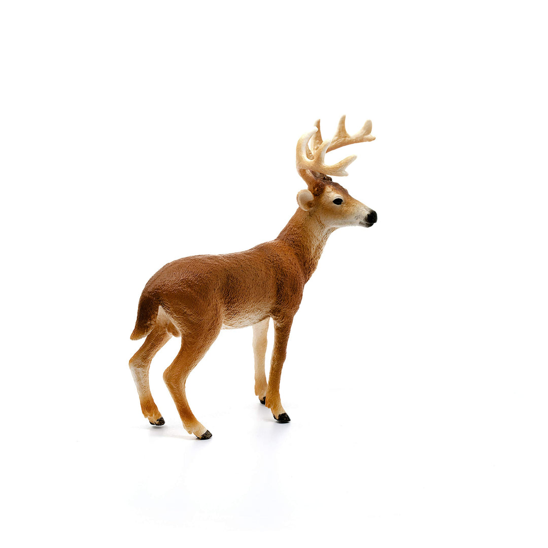 Wild Life, Animal Figurine, Animal Toys for Boys and Girls 3-8 Years Old, White-Tailed Buck, Ages 3+