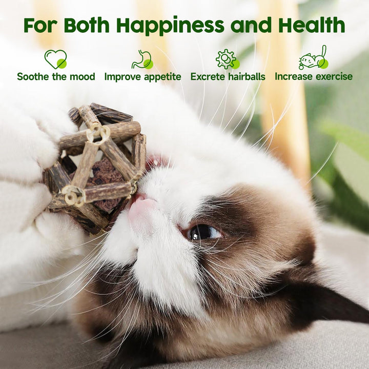 Catnip Toys, 3Pcs Cat Toys Natural Silvervine Stick Cage Balls & Bell Ball for Indoor Cats, Kitten Cleaning Teeth Molar Matatabi Cat Chew Toy All Breeds