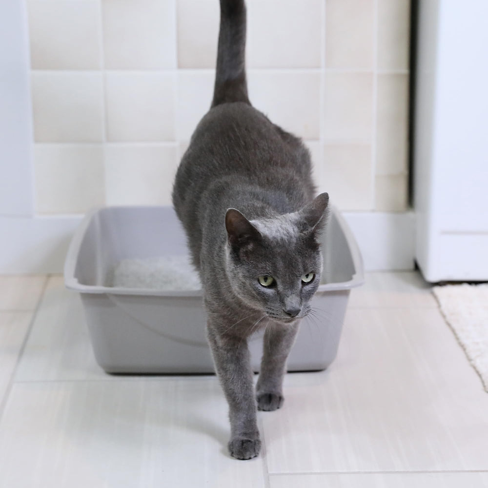 Open Cat Litter Box; Large Nonstick Litter Pan Durable Standard Box, Grey Great for Small & Large Cats Easy to Clean; Made in USA